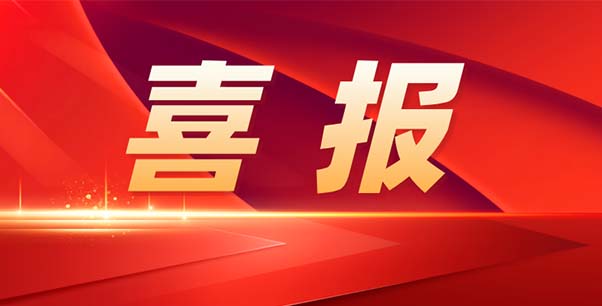 喜報(bào)！熱烈祝賀我司榮獲江蘇省“專精特新”企業(yè)稱號