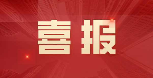 喜報(bào)！華日升公司榮獲各級表彰